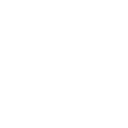 フライト・ビーム