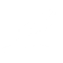 フォーカス・ラッシュ