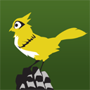 bird-13573