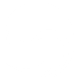 Guardian Wave