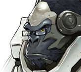 overwatch/5048a08caf910d4463ce0c513f7e64c4329f276d358d054e7a8eb7ec5bf26eab.png