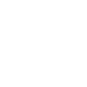 アナーキスト・レイジ