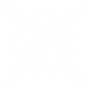 Combustible de combate