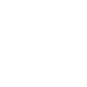 Explosão de Assalto