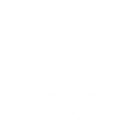 X Machina