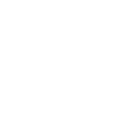 Data Packet
