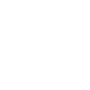 Летнее солнцестояние