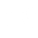 Fusionsrepetierer