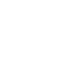 Packs de traslación