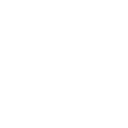 エクストラ・ウェーブ